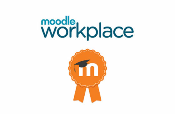 Moodle Workplace_Història